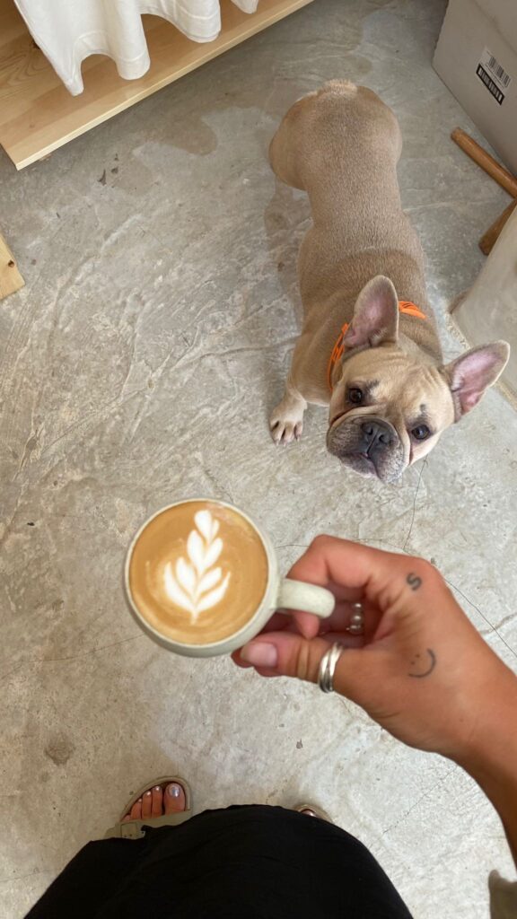 Flat White from nos nos with little cutie doggy. 
